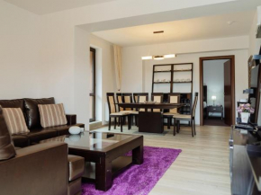 Panoramic Loft Colina Marei